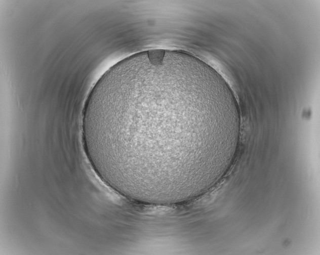 X0000094061187200711021438