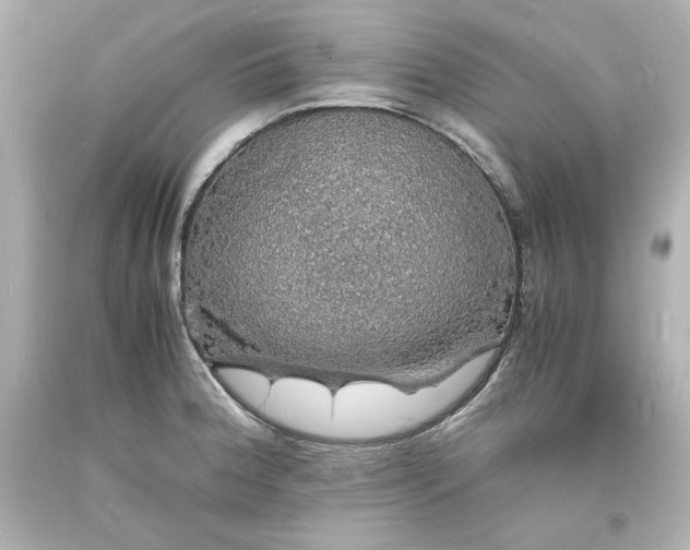 X0000094061188200711021438