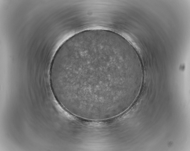 X0000094061189200711021438