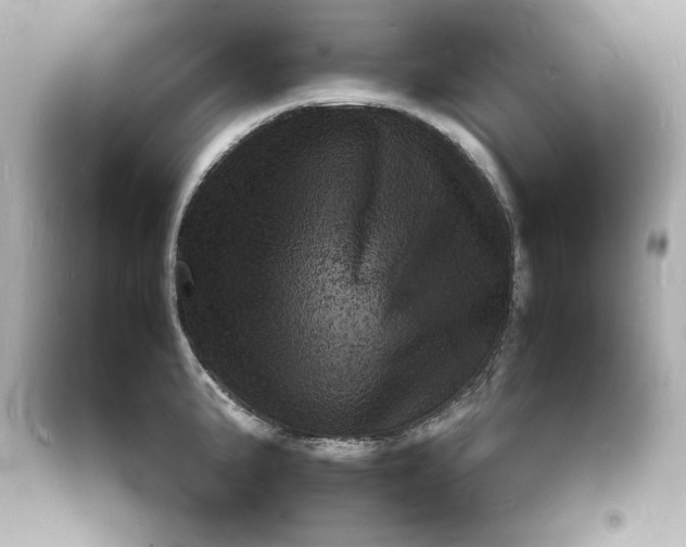 X0000094061191200711021438