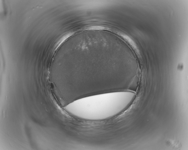 X0000094061193200711021438