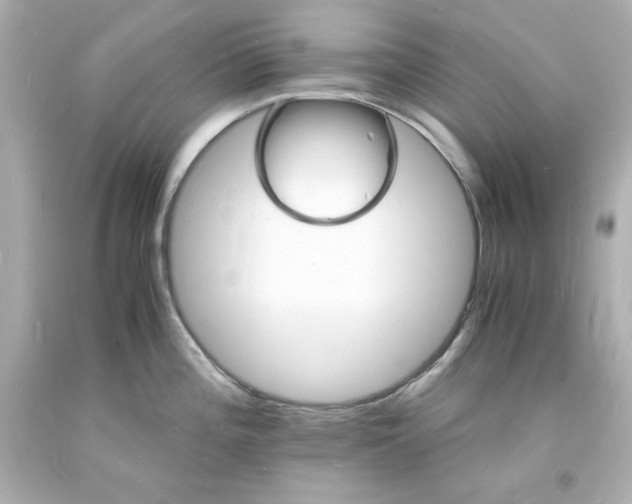 X0000094061196200711021438