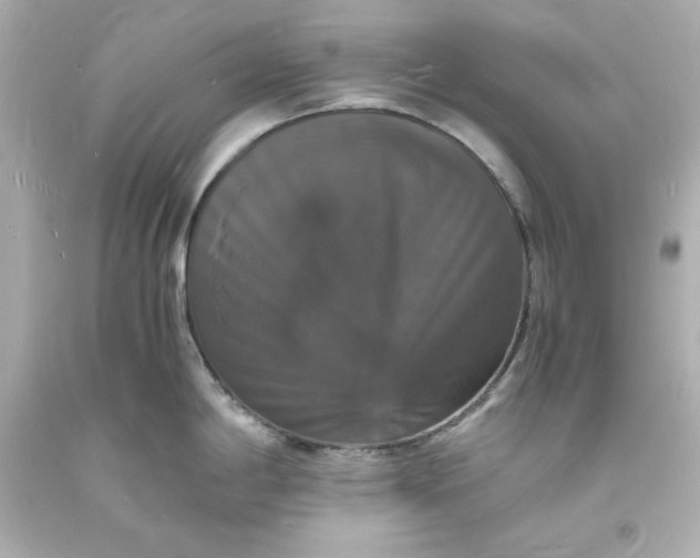 X0000094061198200711021438