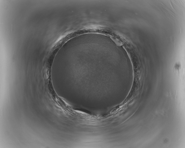 X0000094061206200711021437