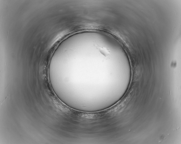 X0000094061211200711021437