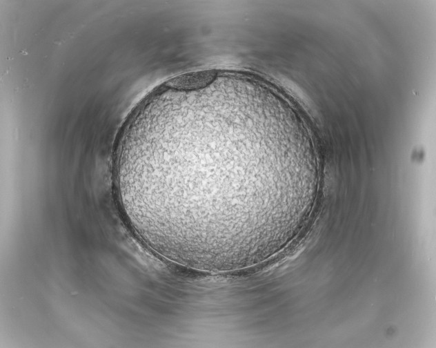 X0000094061212200711021437