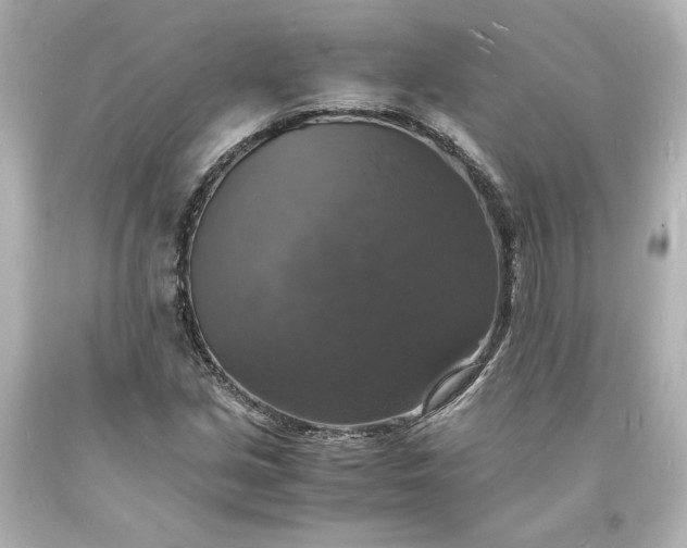 X0000094061213200711021437