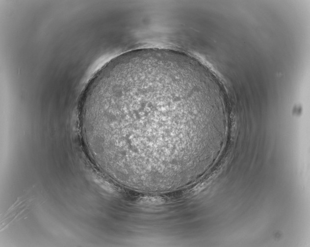 X0000094061215200711021437