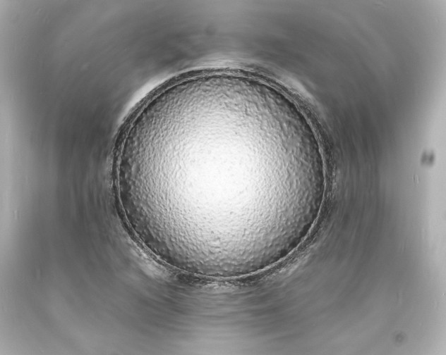 X0000094061216200711021437