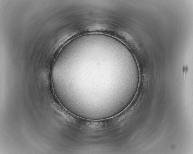 X0000094061217200711021437
