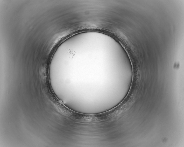 X0000094061218200711021437