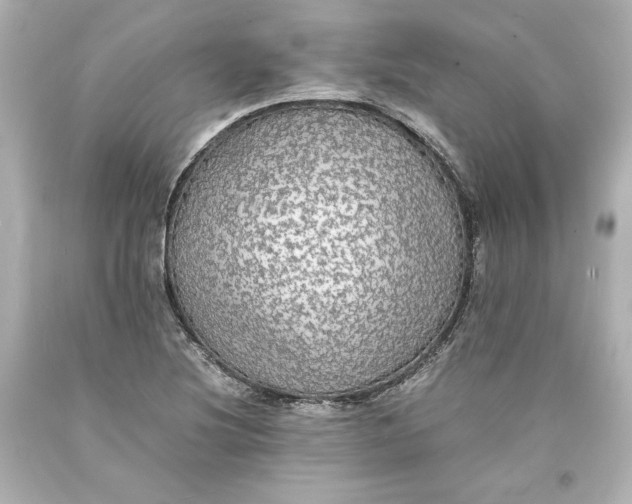 X0000094061220200711021437