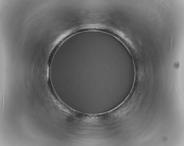 X0000094061221200711021437