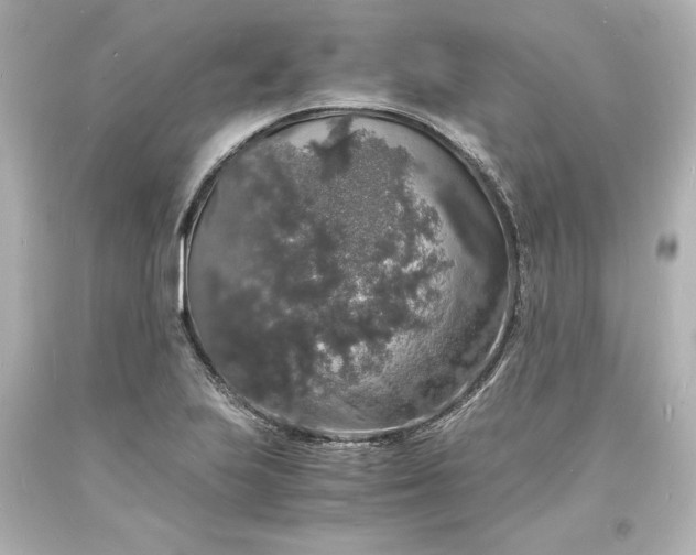 X0000094061223200711021437