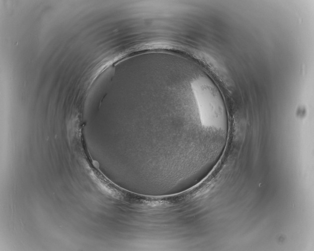 X0000094061225200711021438