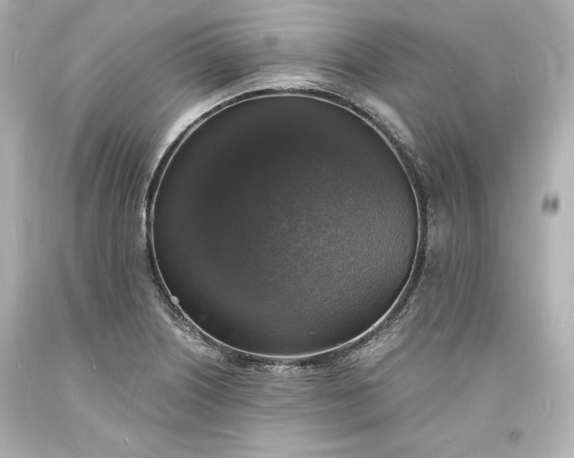 X0000094061226200711021438