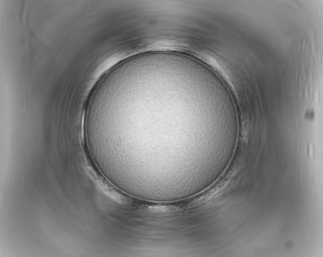 X0000094061227200711021438