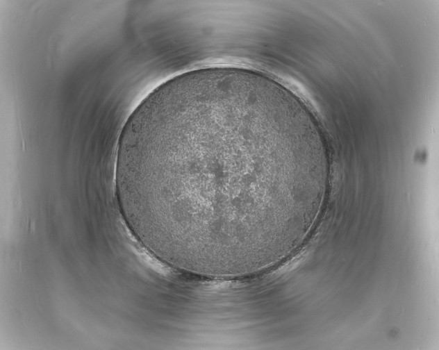 X0000094061228200711021438