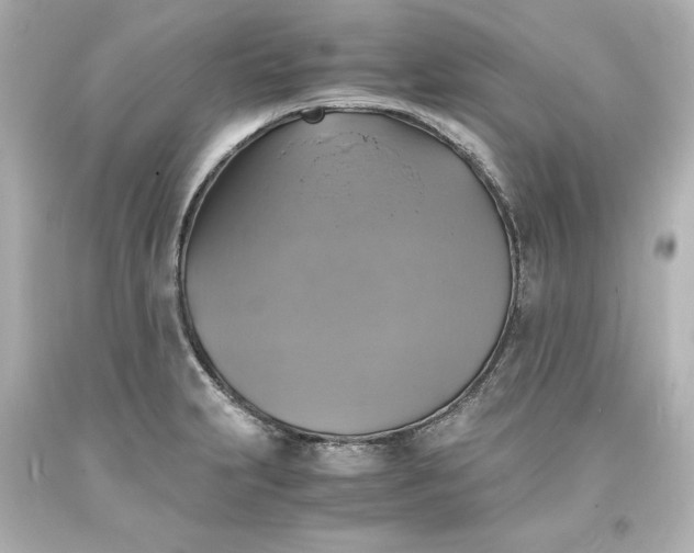 X0000094061231200711021438