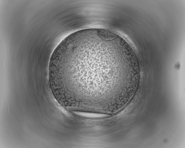 X0000094061236200711021438