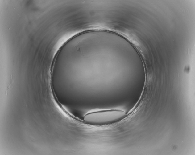 X0000094061239200711021438