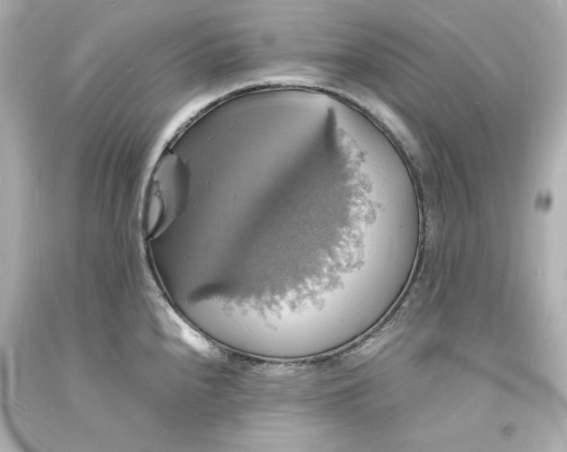 X0000094061240200711021438