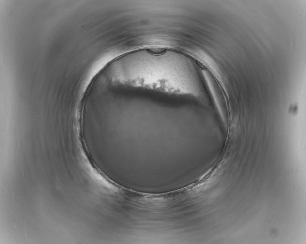 X0000094061243200711021438