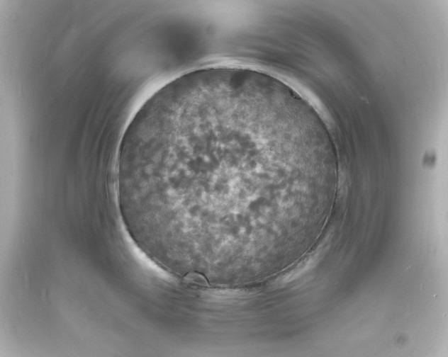 X0000094061247200711021438