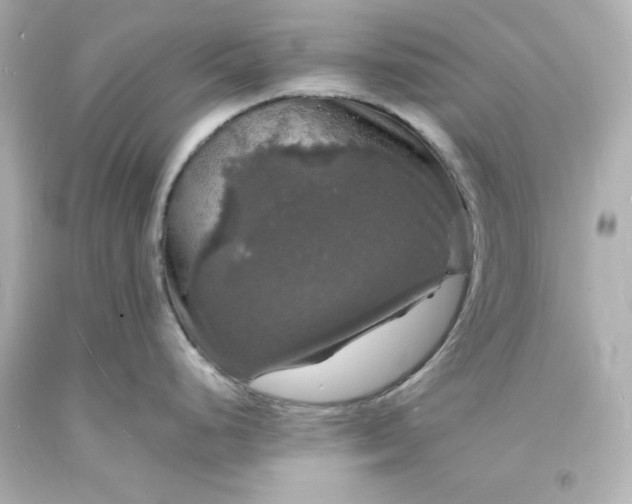 X0000094061248200711021438
