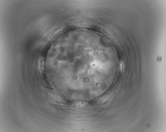 X0000094061251200711021437