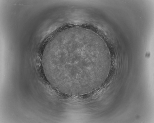 X0000094061253200711021437
