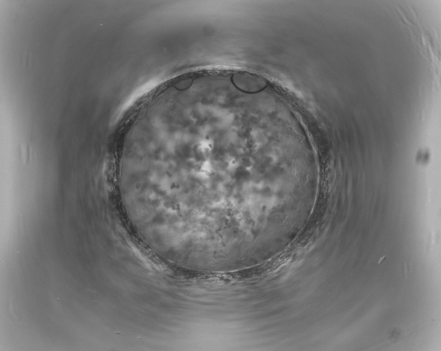 X0000094061255200711021437