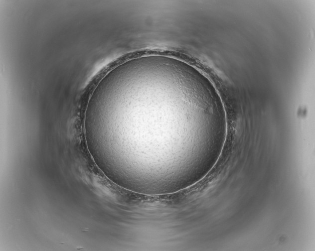 X0000094061256200711021437