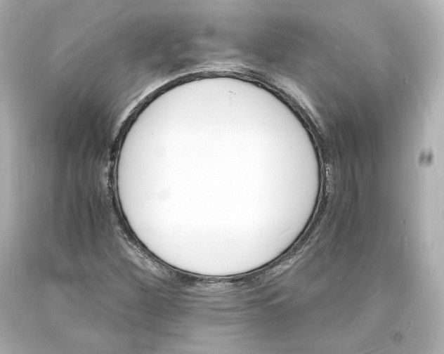 X0000094061260200711021437