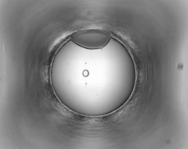 X0000094061262200711021437