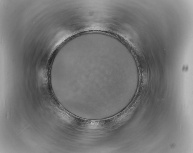 X0000094061266200711021437