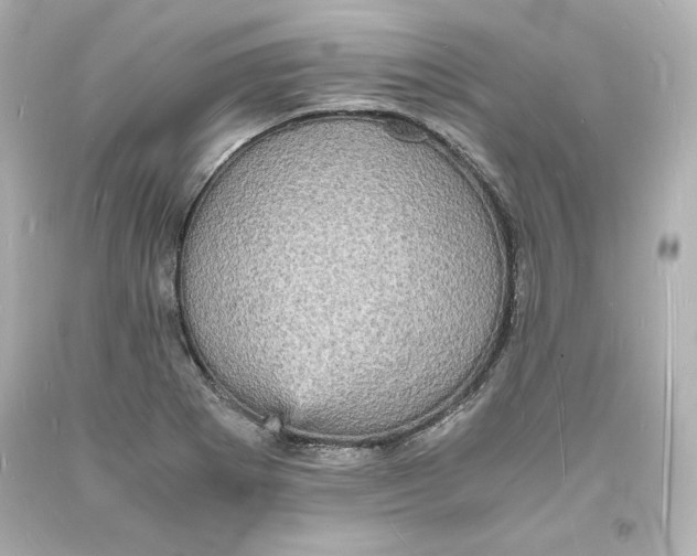 X0000094061273200711021437