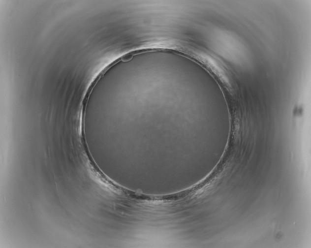 X0000094061276200711021437