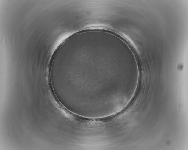 X0000094061277200711021437