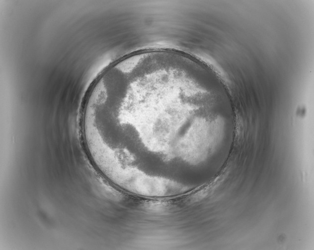 X0000094061278200711021437