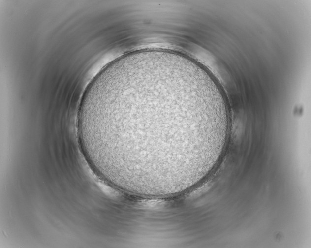 X0000094061282200711021437