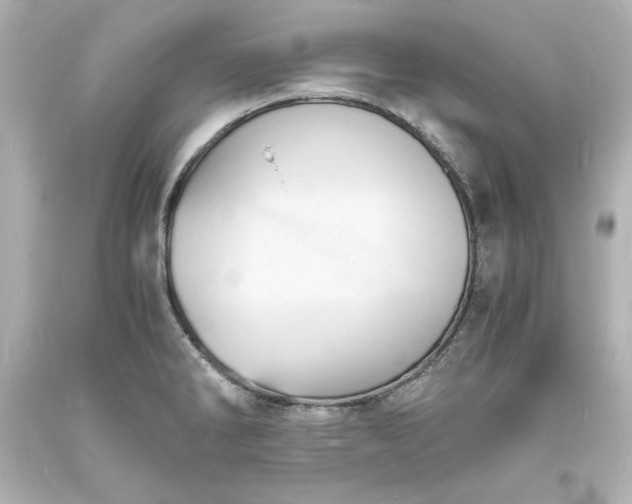 X0000094061286200711021436