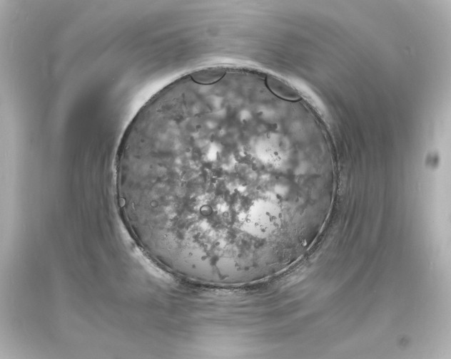 X0000094061287200711021436