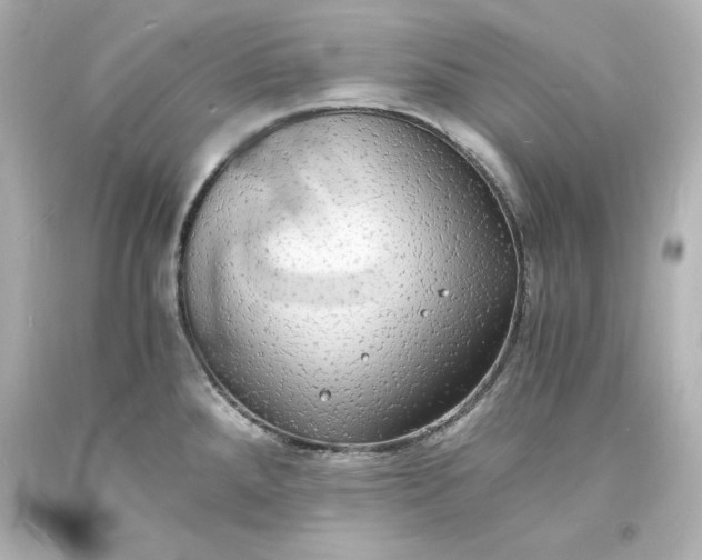 X0000094061288200711021436