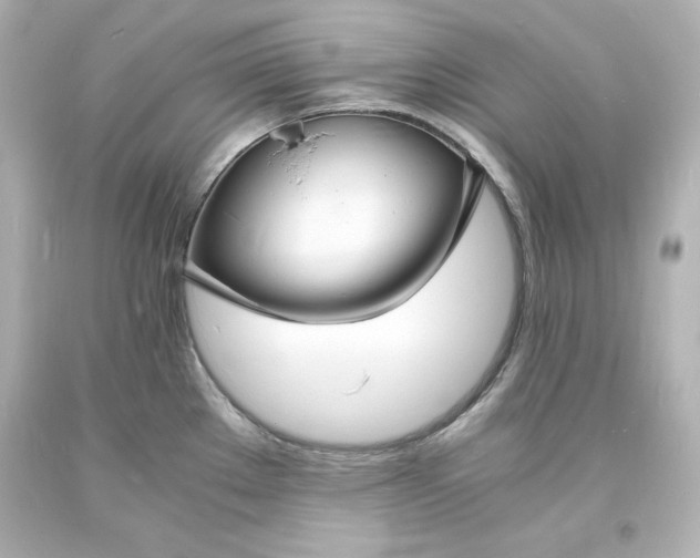 X0000094061289200711021436