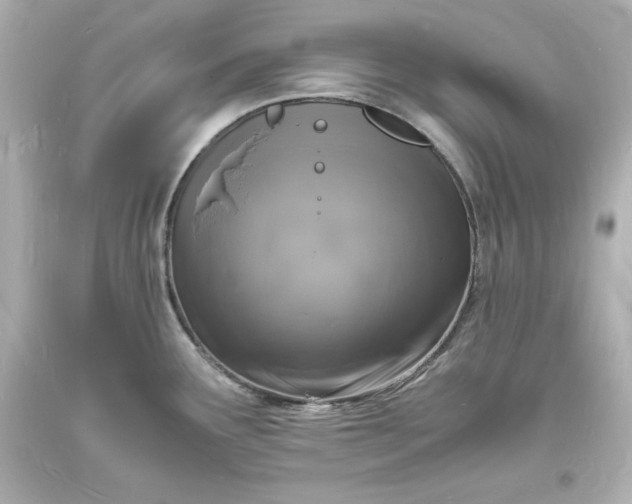 X0000094061291200711021436