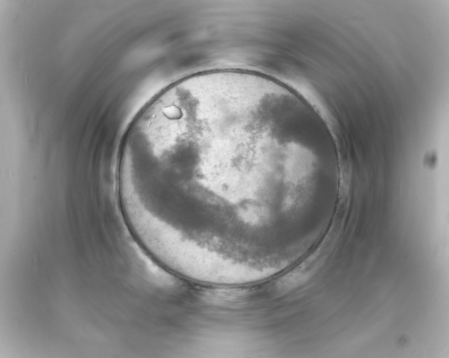X0000094061294200711021436