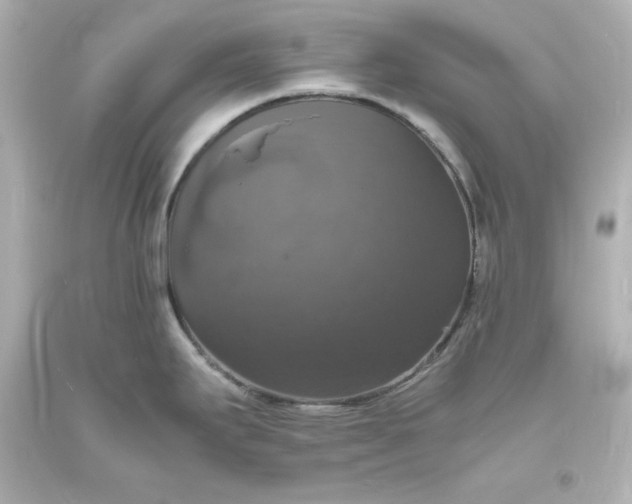 X0000094061295200711021436