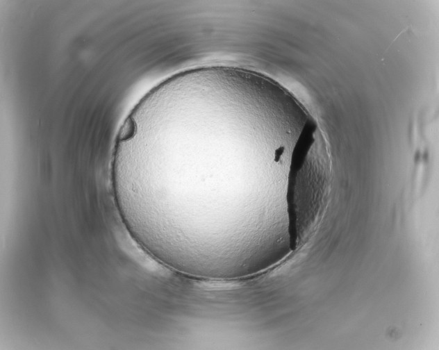 X0000094061296200711021436