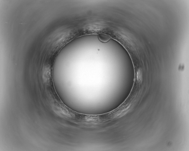 X0000094061299200711021436